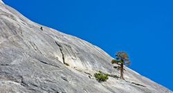 16erwinschrankenmuller-yosemite