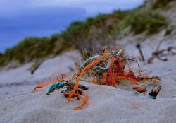 23werner_mueller_garn_paa_strand