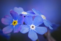 42henning_letphotoshoppet
