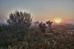 04callesen-torben-morgendisen-letter