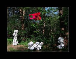 26-bentskovmand-kunst-i-natur