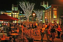 13-erwinschrankenmuller-downtown-disney