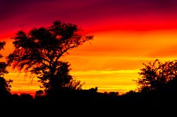14-anette_bak_soerensen_mit_afrika