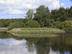 31-jan_eckert_gendarmstien
