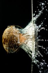 03-bo_kleis_christensen_coconut