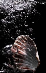 06-anders_misser_luft_under_musling
