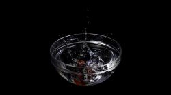 21-jakob_andersen_chilidrop