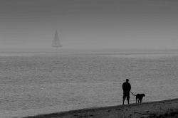 12-a_misser_ved_stranden