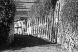 24-janeckert_graffiti
