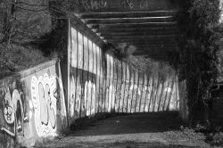 24-janeckert_graffiti_2