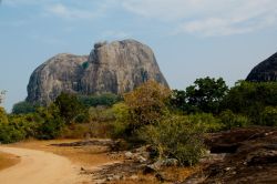 02-elsewoejcik-elephantrock-yalanationalpark
