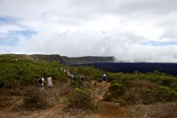 18-elsewoejcik-sierranegra-galapagos
