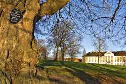 09-erwin-schrankenmueller-augustenborg-slotogpark