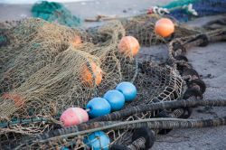 19-jan-eckert-fishingnet-at-harbour