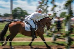 09-ruddi-hansen-galop