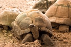 11-anettebaksorensen-look-at-me-slowly