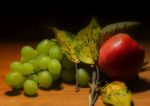 06-gunnar-petersen-apple-and-grapes