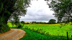 03-peter-kielberg-gammelmark-2