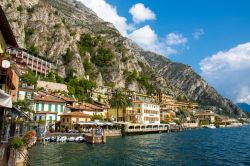 11-anette-bak-sorensen-limone