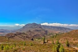 11-dennis-christensen-grancanaria