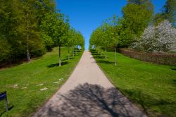 11-bent-skovmand-shadows-1