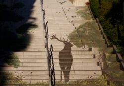 11-bent-skovmand-shadows-2