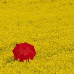 02-09-anette-bak-sorensen-the-umbrella