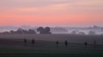 03-11-else-wøjcik-morgenstund