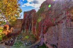 04-11-ruddi-hansen-wall-of-color