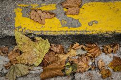 helge-frederiksen-street-art-c