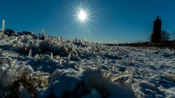 03-07-peter-kielberg-frost