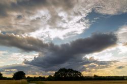 03-11-anette-bak-sorensen-skyhimlen