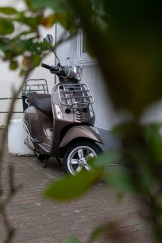 02-11-jan-petersen-vespa-i-bladramme