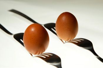 04-11-else-woejcik-aeggene